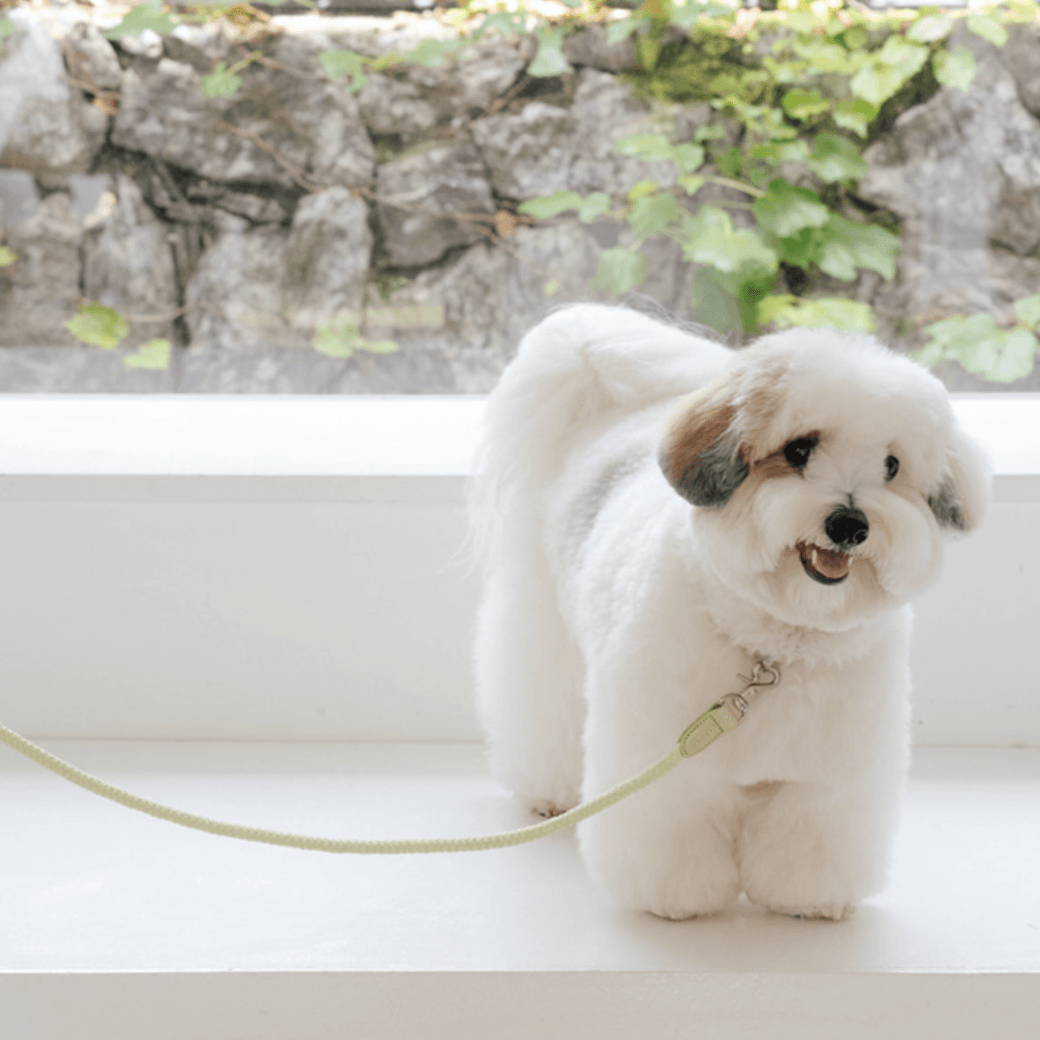 Rope Leash (Pistachio)