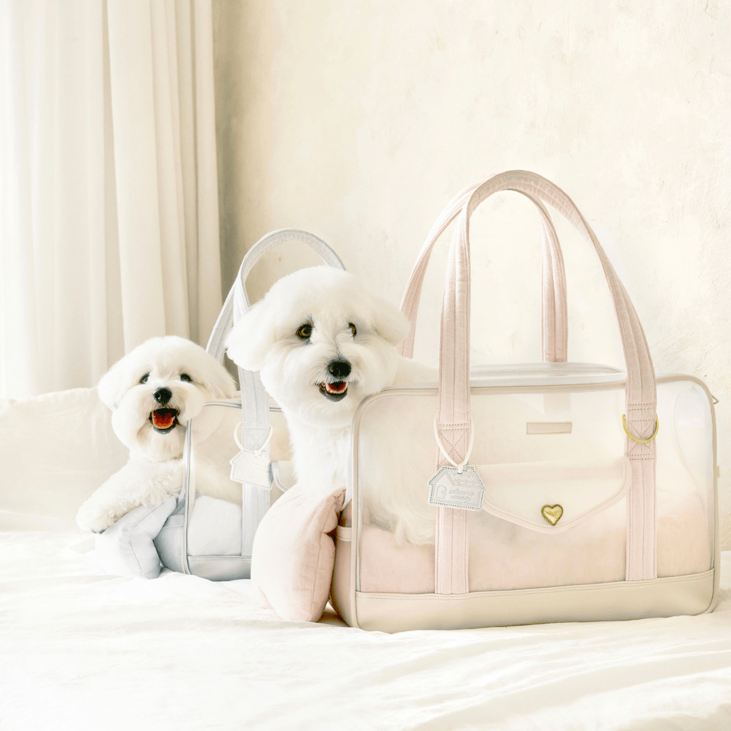 Mesh Ballon Bag （Ivory & Pink）