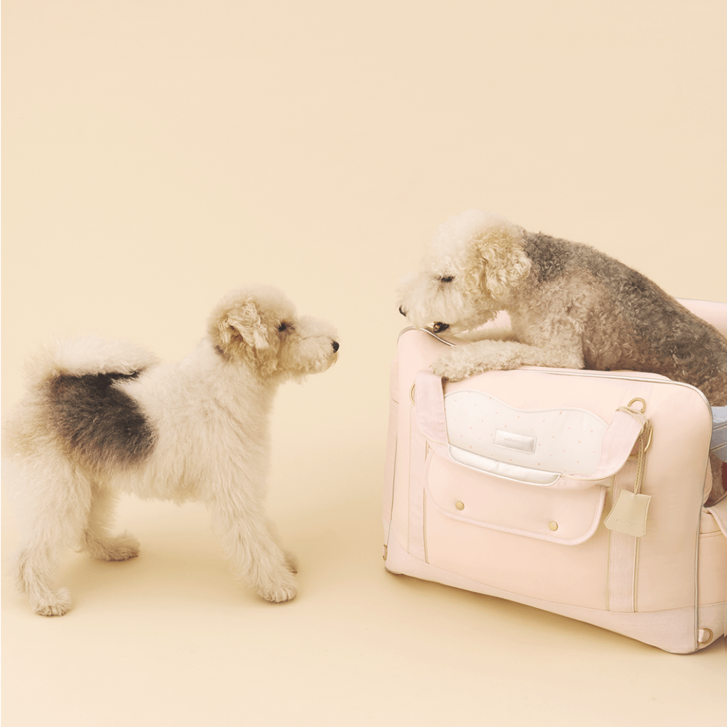 Cruise Car Seat (Pink)