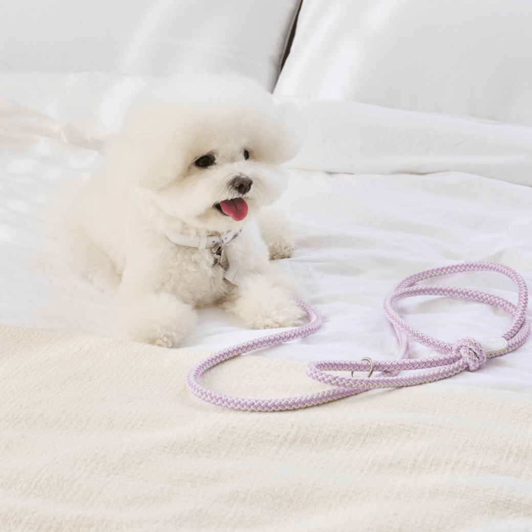 Stroll Rope Collar & Leash New Lilac