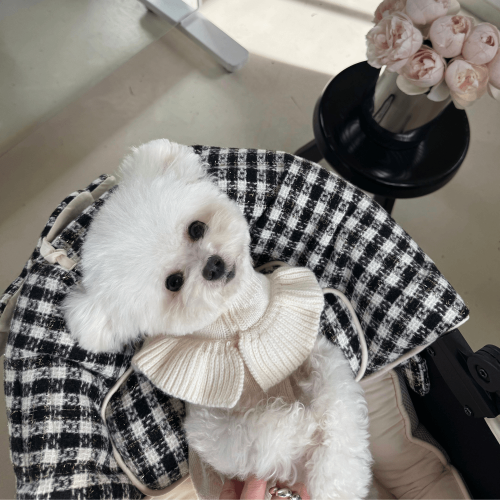 Tweed Buggy Guard (Black Check)