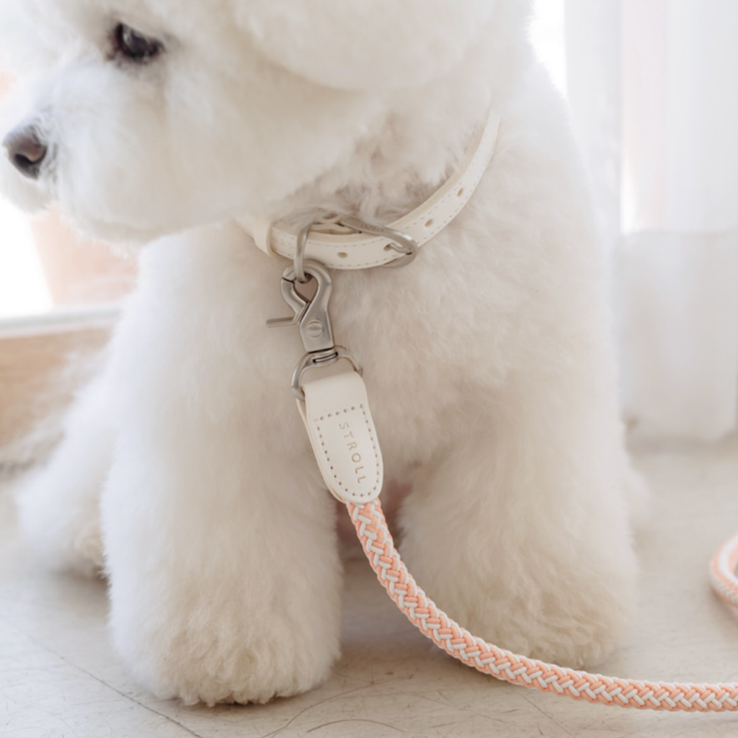 Rope Leash (Coral)