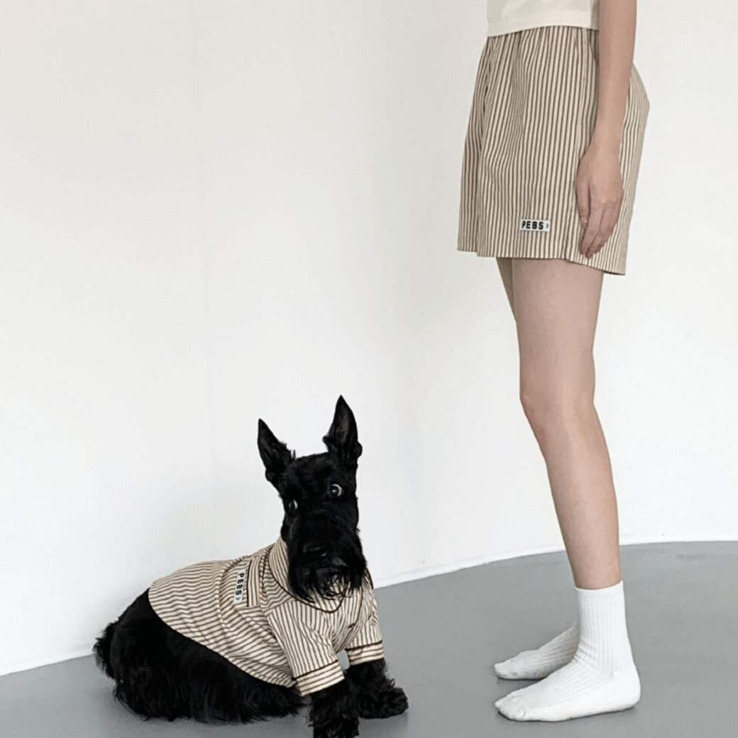 Dog Shirts (Brown)