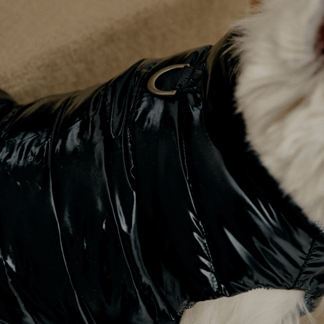 Wellon Glossy Padding (3color)