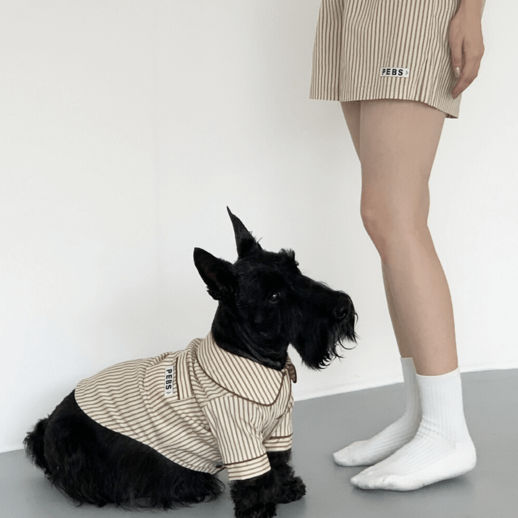 Dog Shirts (Brown)