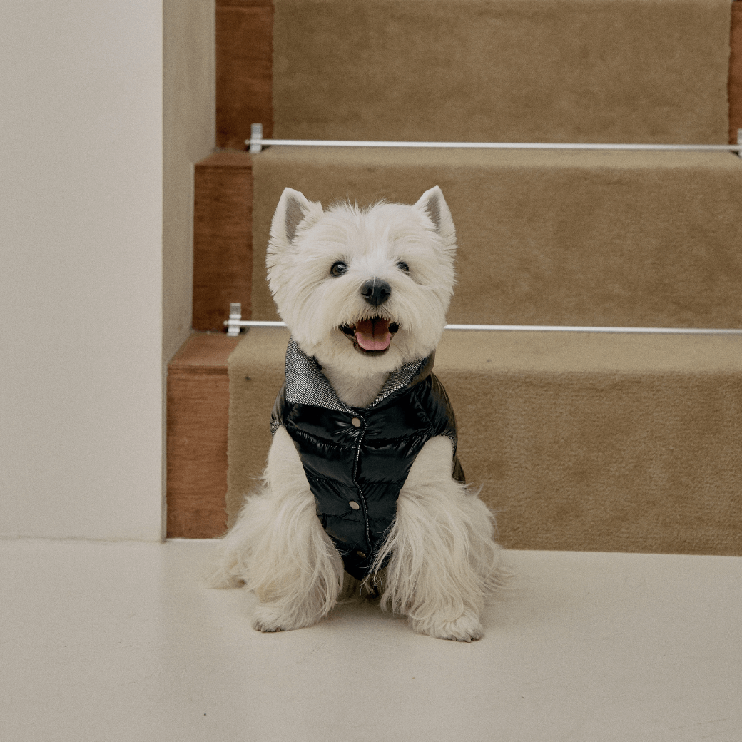 Wellon Glossy Padding (3color)