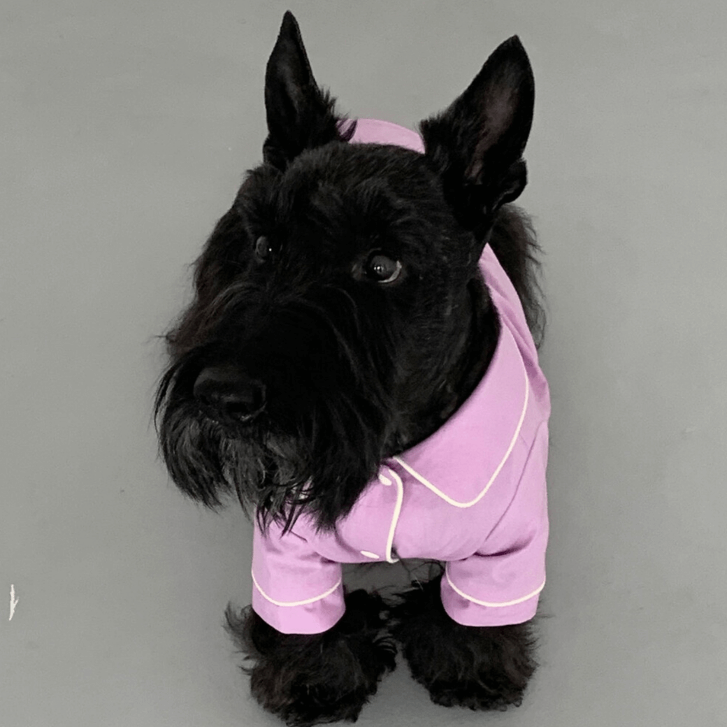 Dog Shirts (Pink)