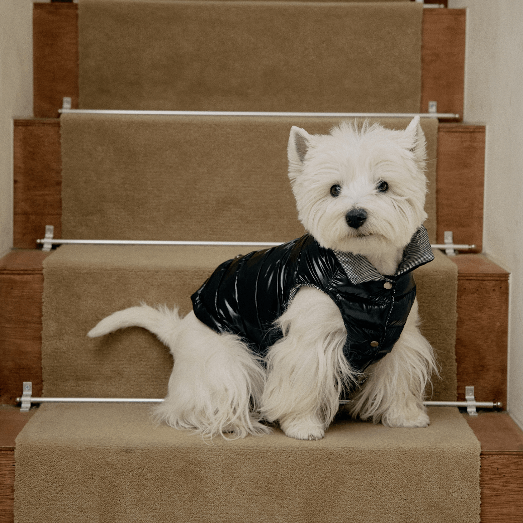 Wellon Glossy Padding (3color)