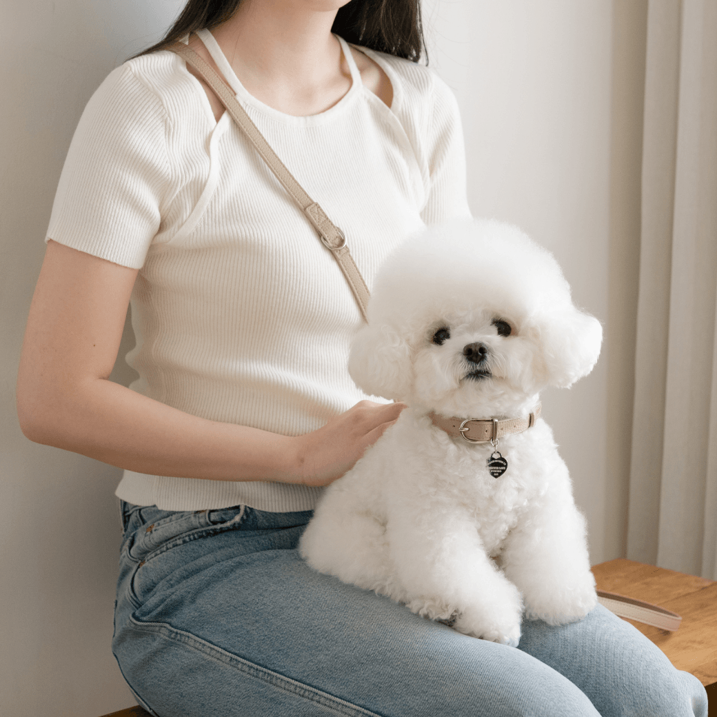DELIGHT COLLAR（ベージュ）