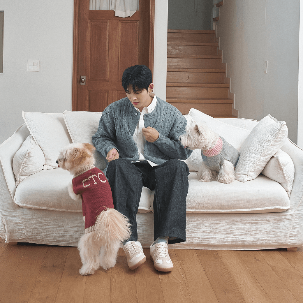 Merino Wool 100 Comfort Knit (2color)