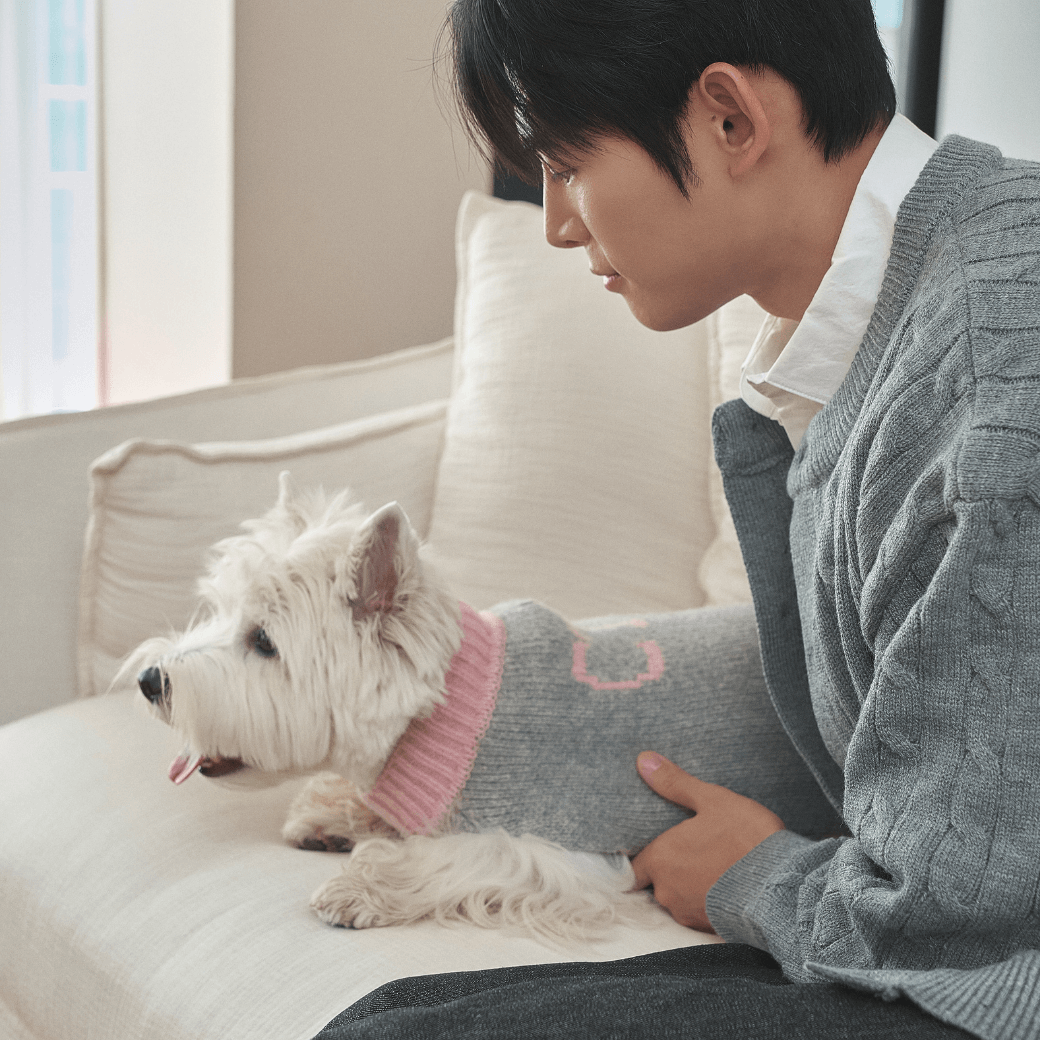 Merino Wool 100 Comfort Knit (2color)