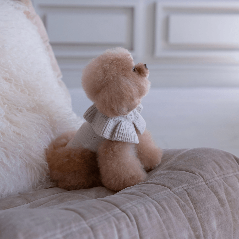 Frill Knit（Mocha）