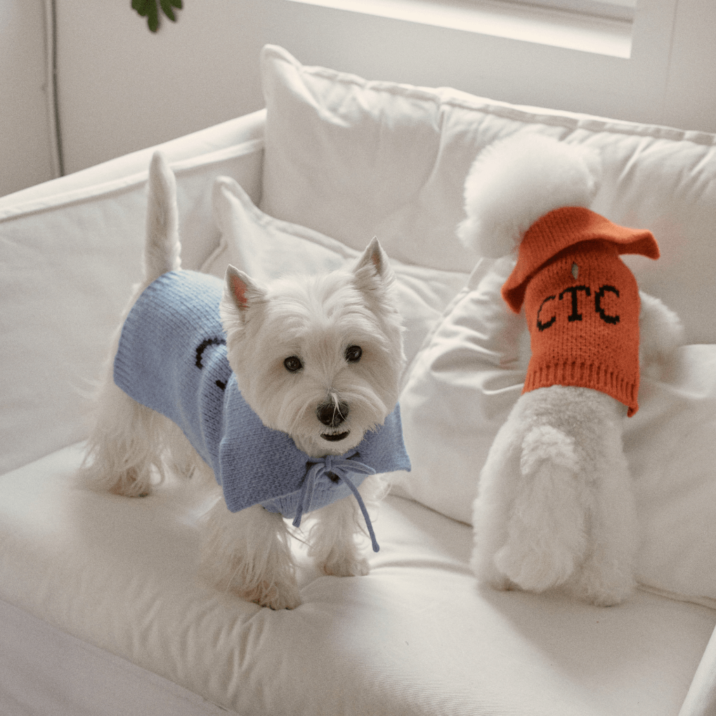 Sailor Classic Merino Wool 100 Knit (2color)