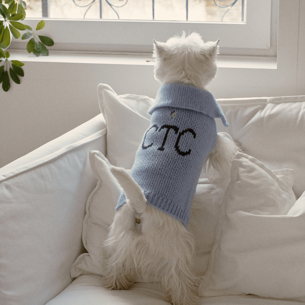 Sailor Classic Merino Wool 100 Knit (2color)