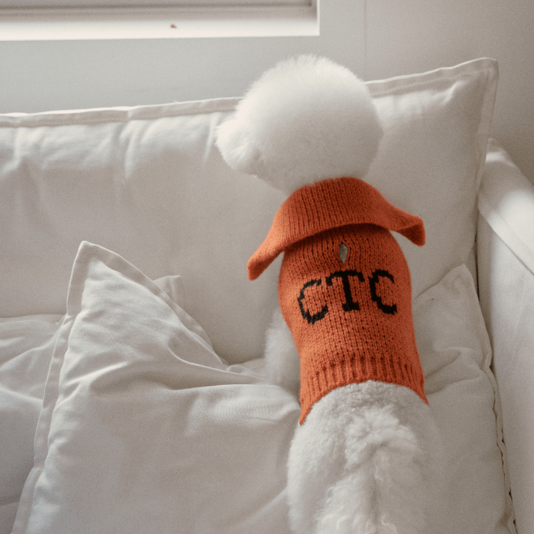 Sailor Classic Merino Wool 100 Knit (2color)