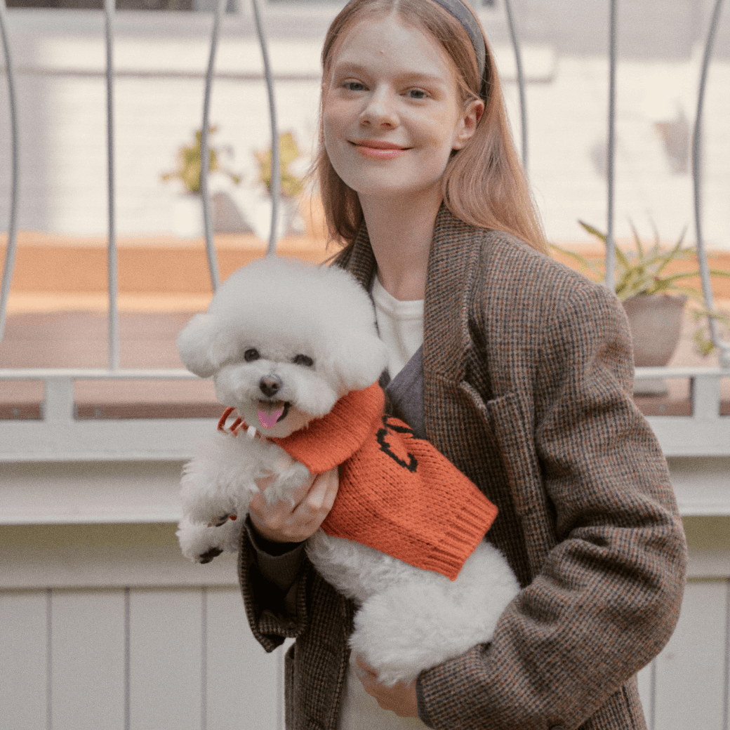 Sailor Classic Merino Wool 100 Knit (2color)