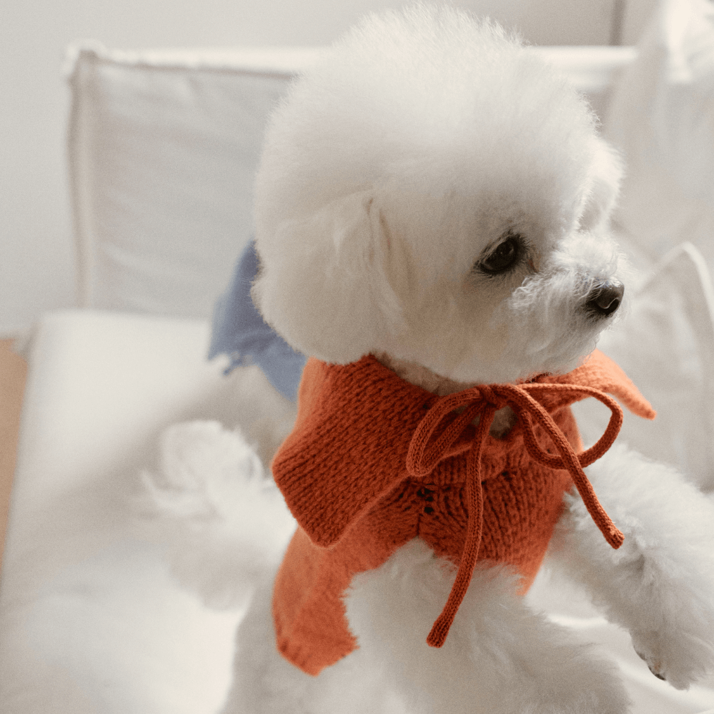 Sailor Classic Merino Wool 100 Knit (2color)