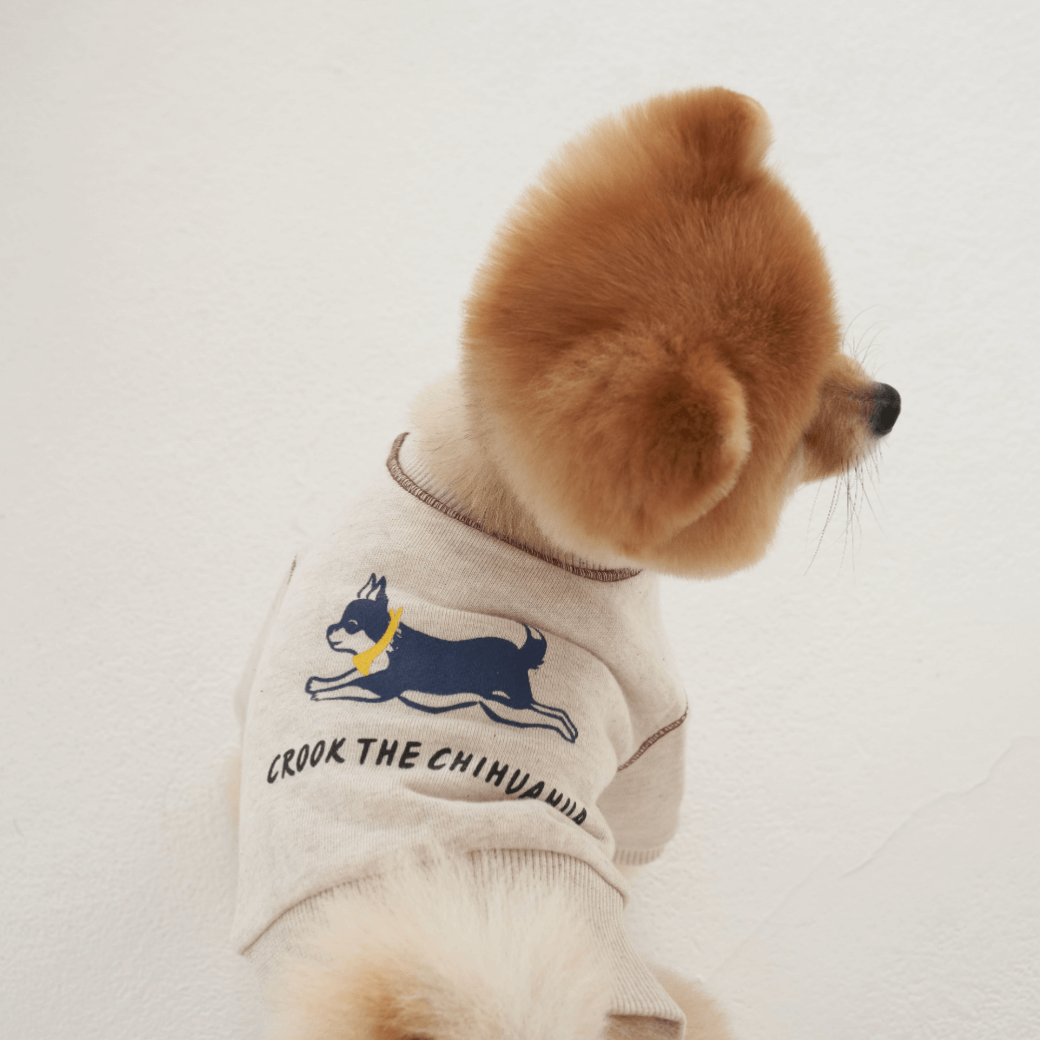 Logo Graphic Sweatshirt (2color)