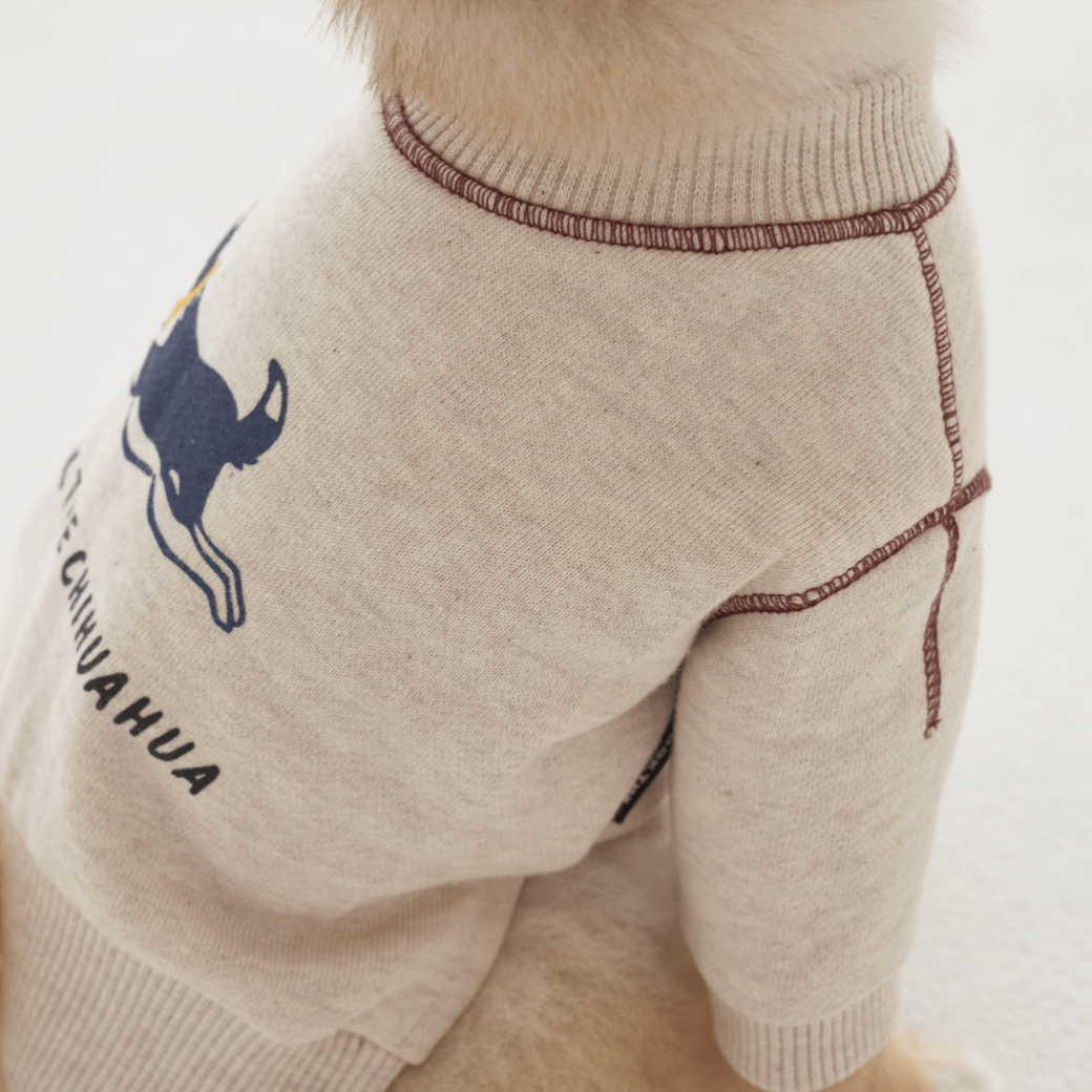 Logo Graphic Sweatshirt (2color)