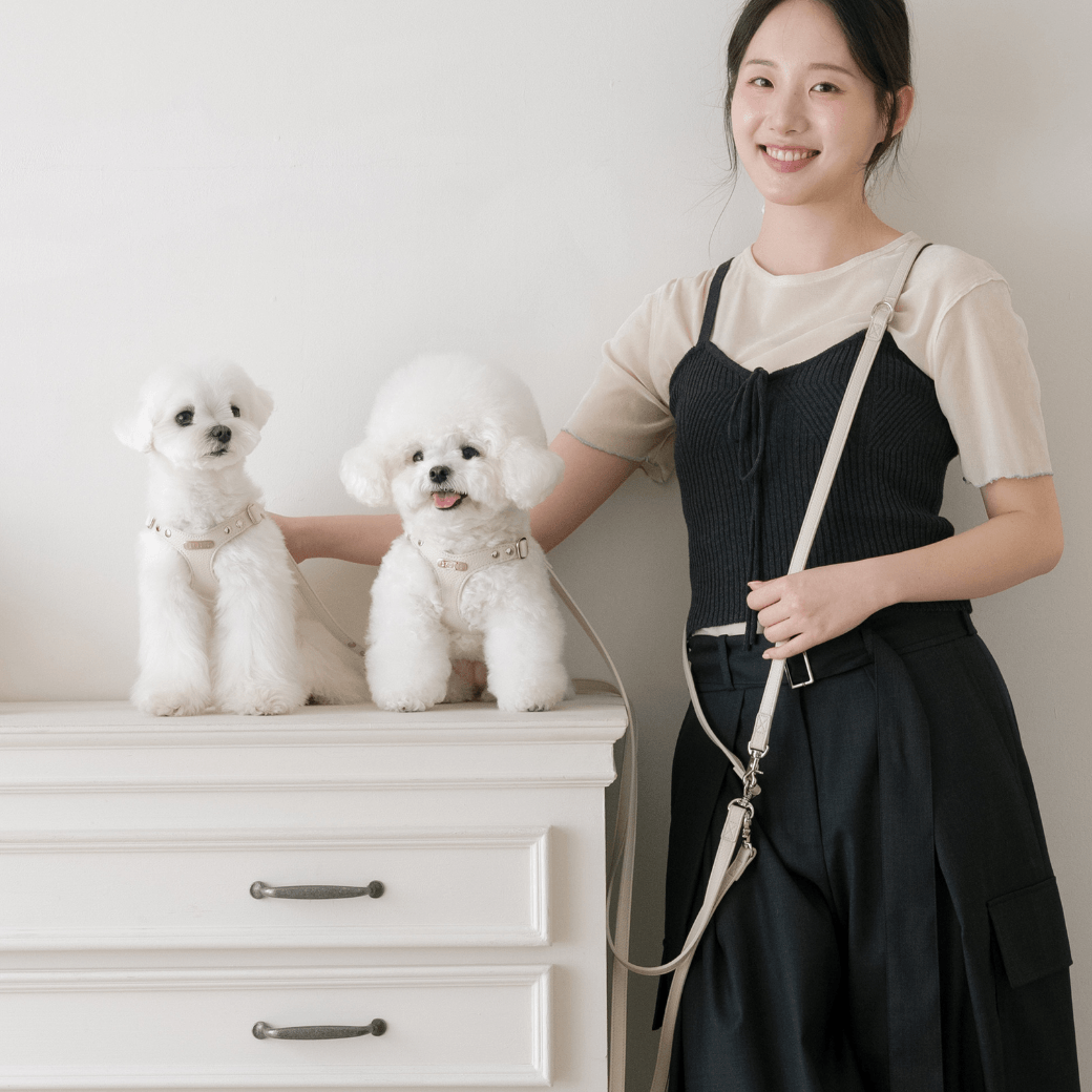 DELIGHT HARNESS（クリーム）