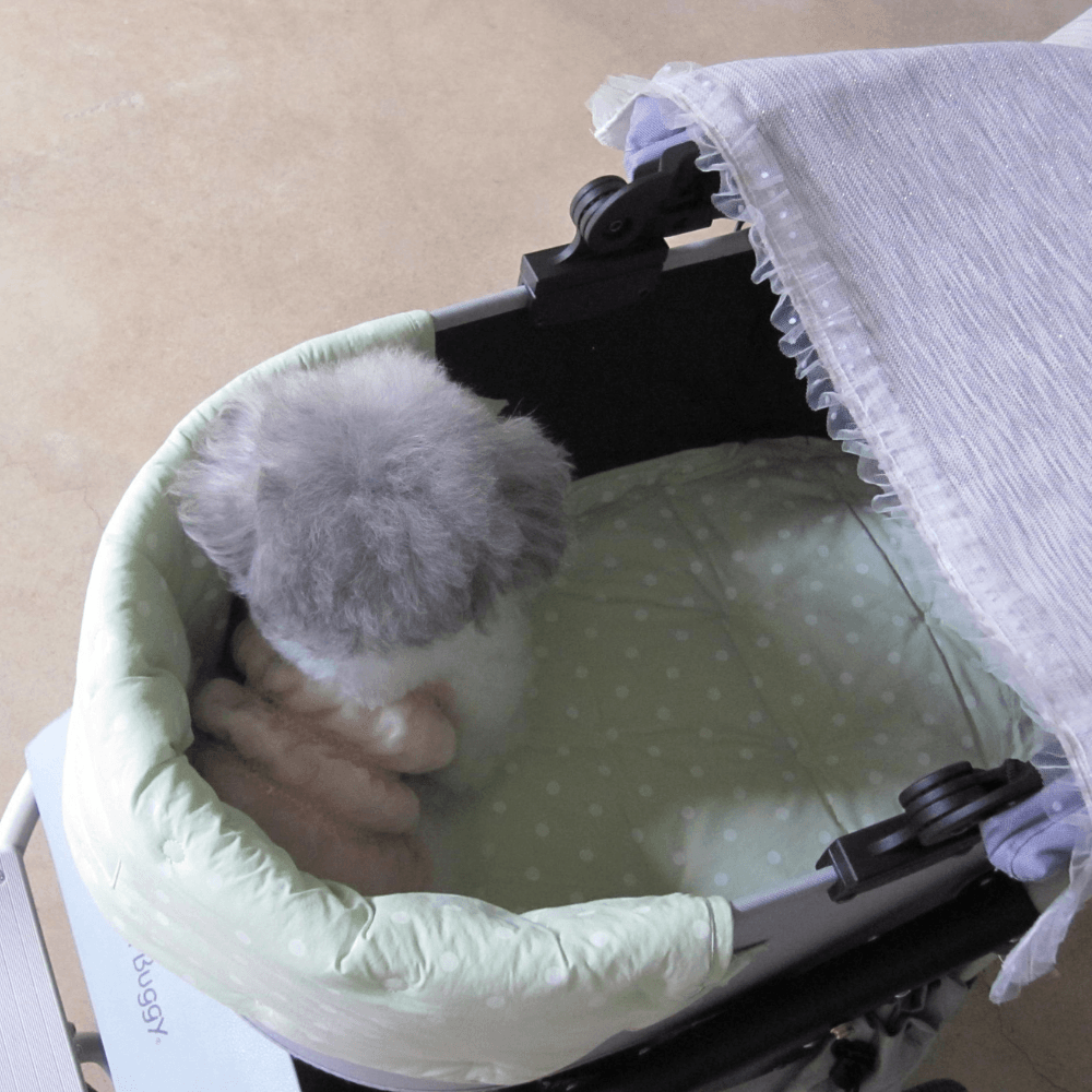 【予約】Buggy Pad (Mint)