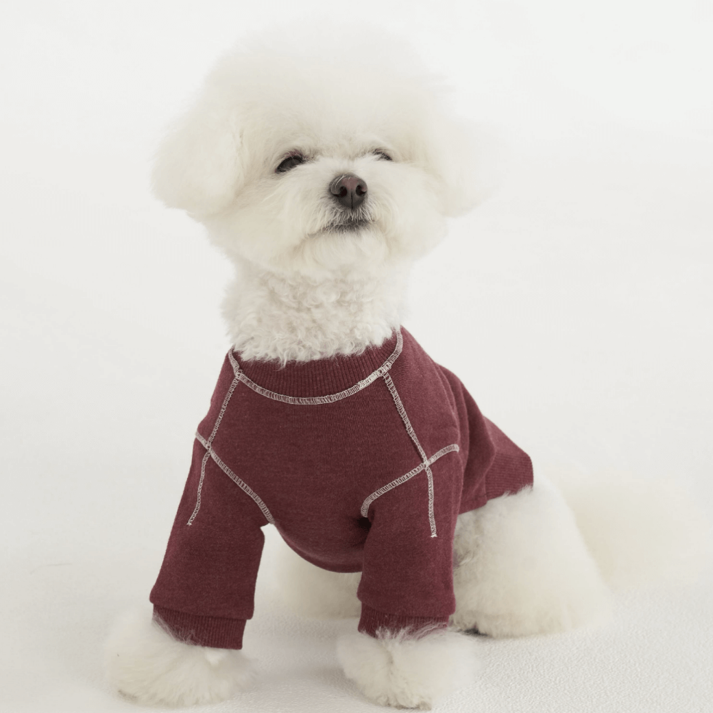 Logo Graphic Sweatshirt (2color)