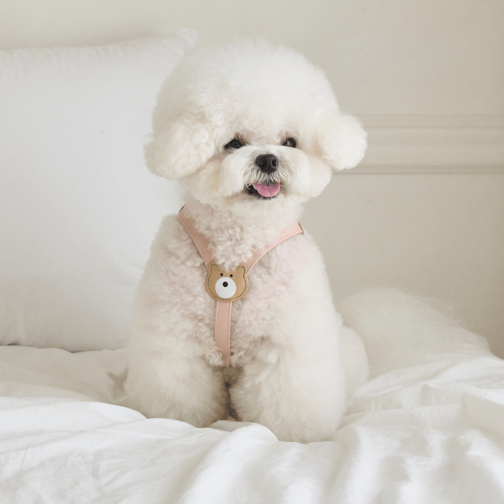 BEAR HARNESS（Indi Pink）