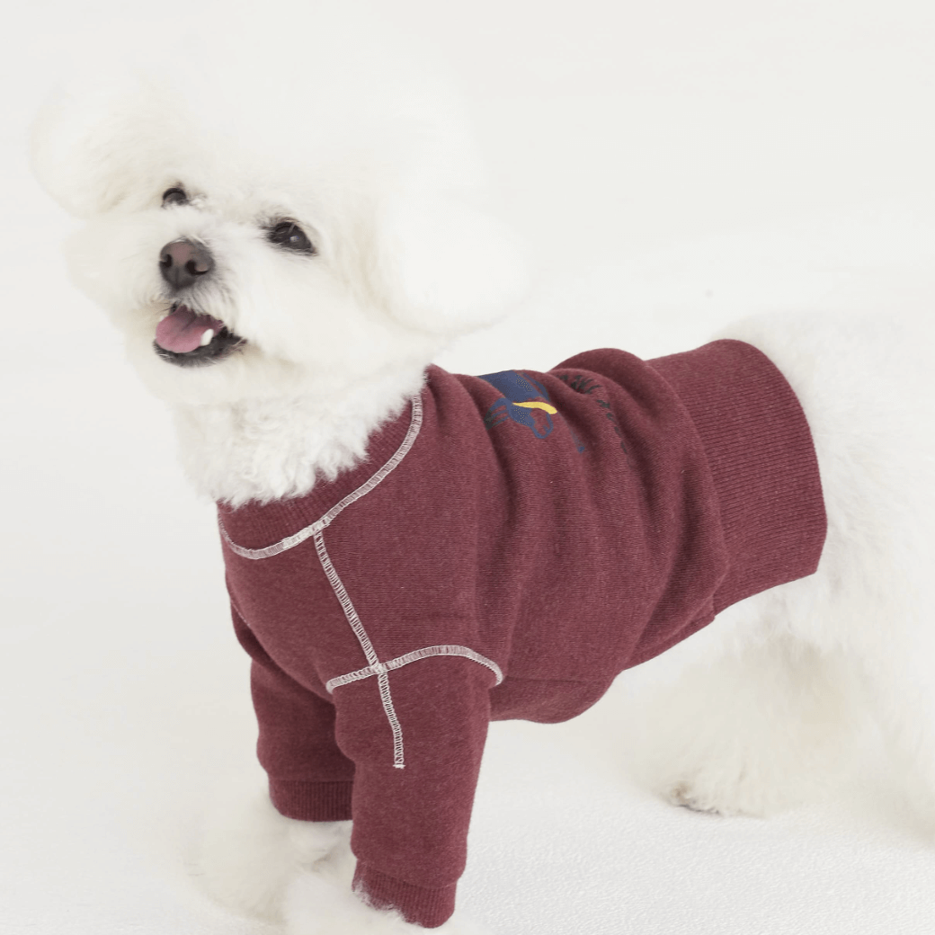 Logo Graphic Sweatshirt (2color)