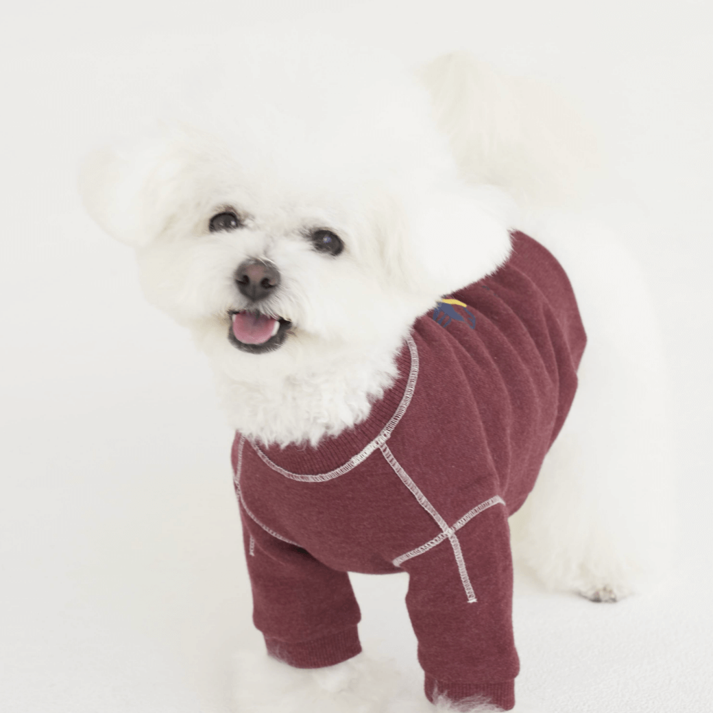 Logo Graphic Sweatshirt (2color)