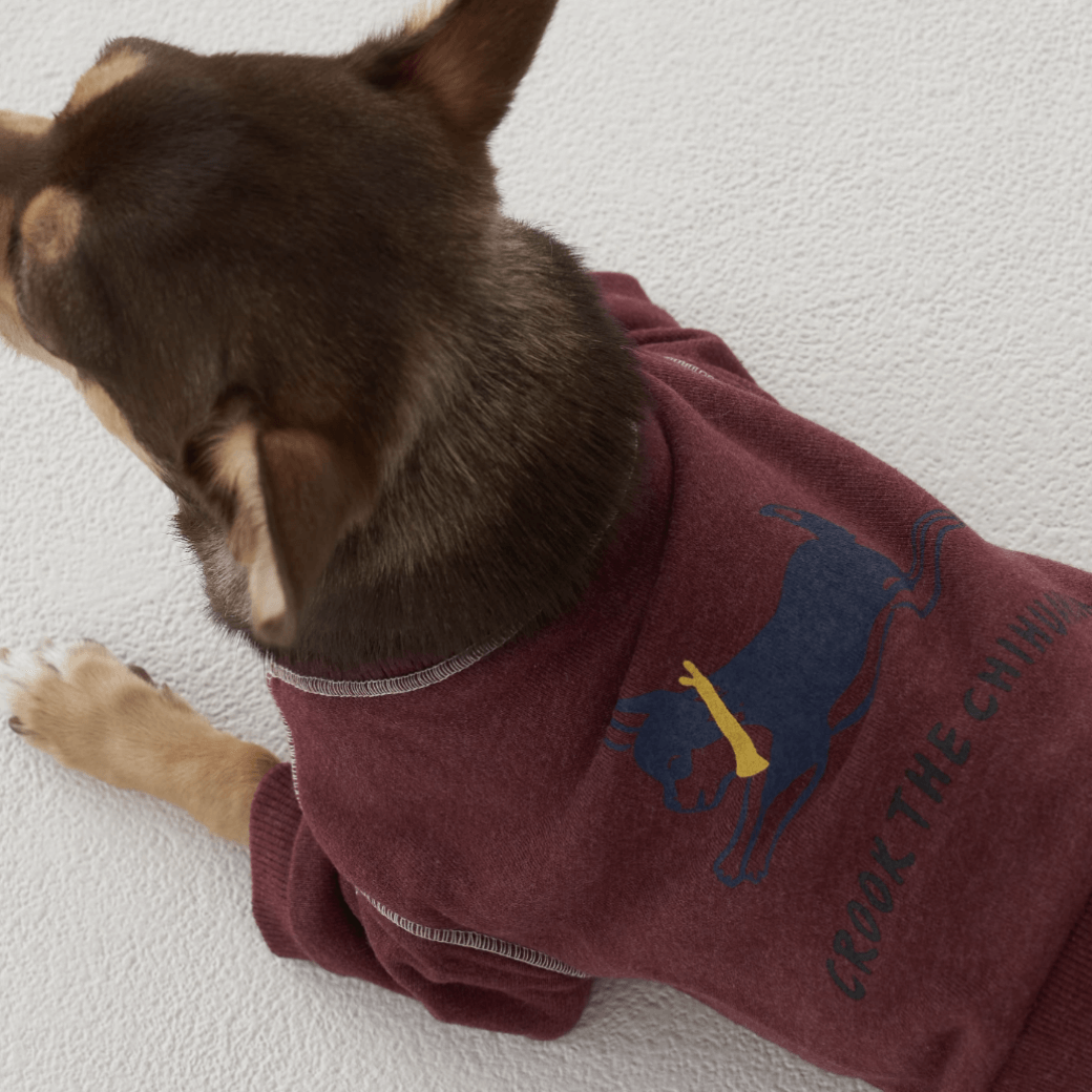 Logo Graphic Sweatshirt (2color)