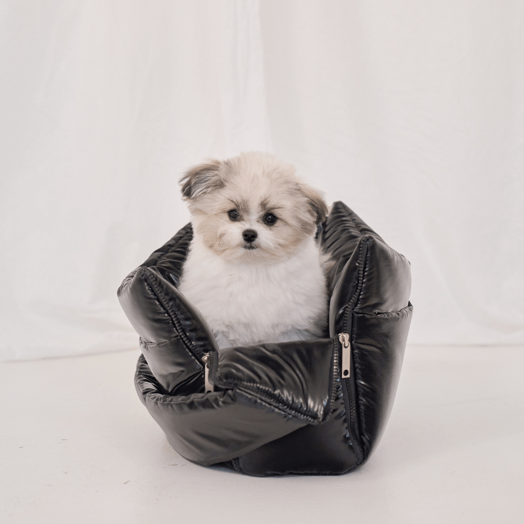 【予約】open bag - glossy black（APERTY）