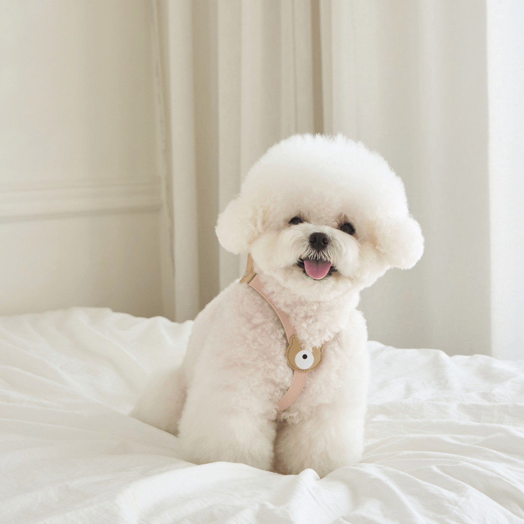 BEAR HARNESS（Indi Pink）