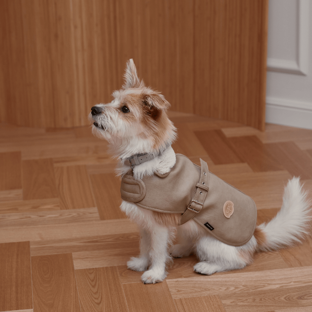 Noel Belted Mustang (3color)