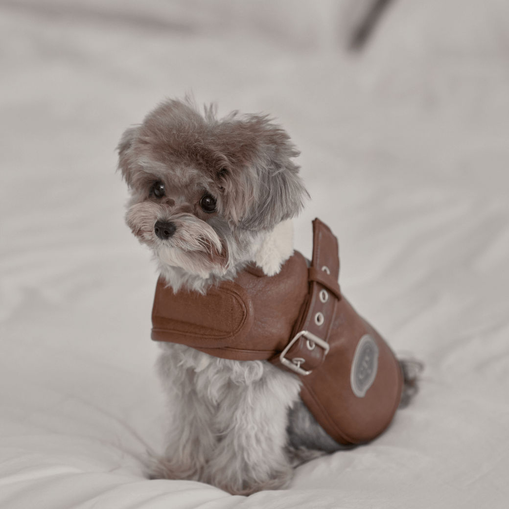 Noel Belted Mustang (3color)