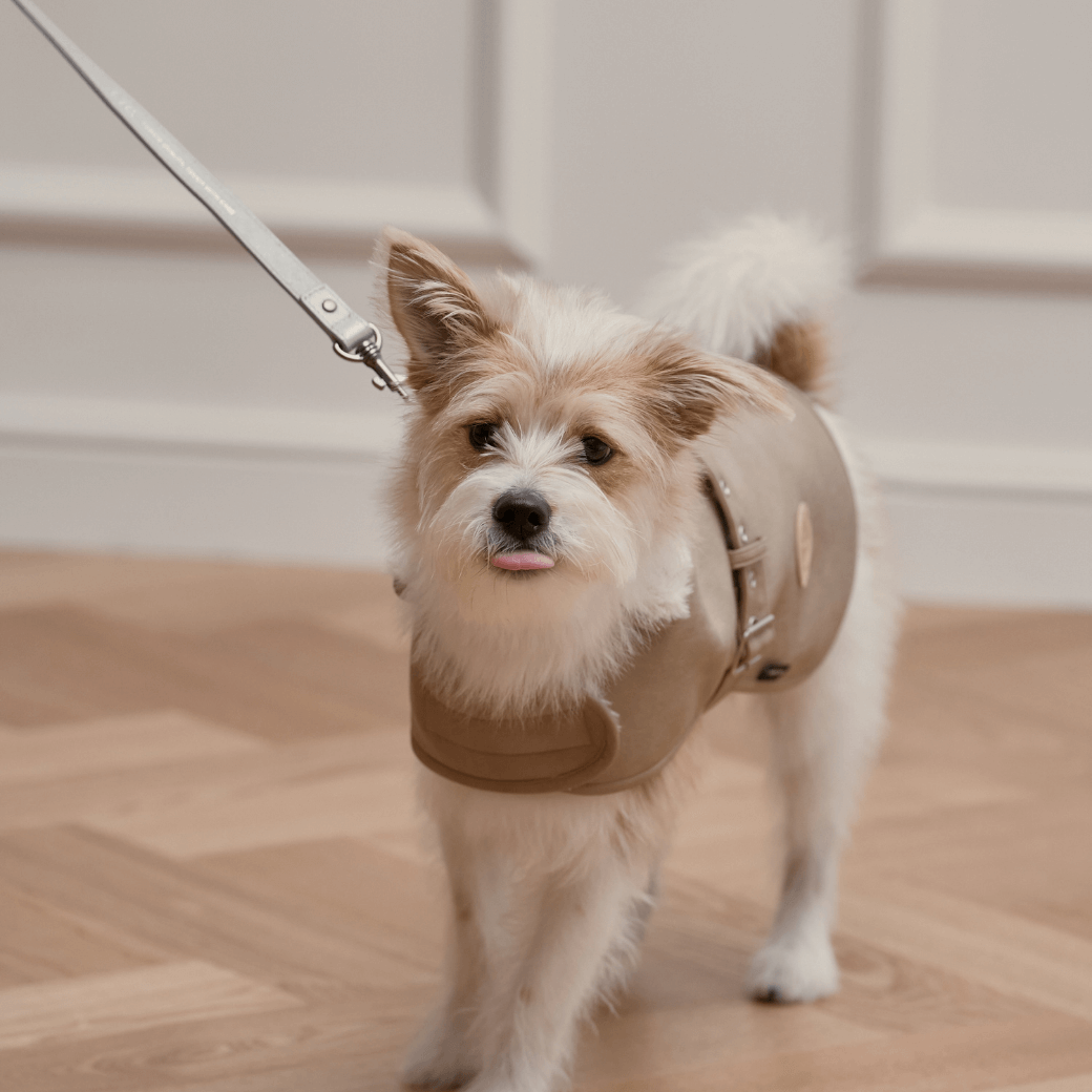 Noel Belted Mustang (3color)