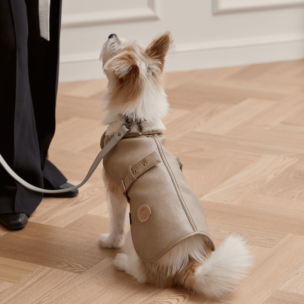 Noel Belted Mustang (3color)