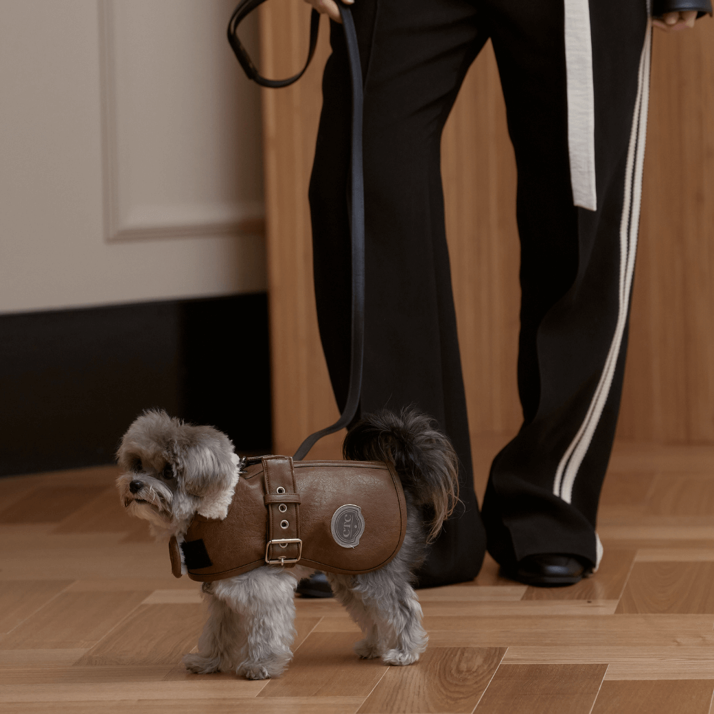 Noel Belted Mustang (3color)