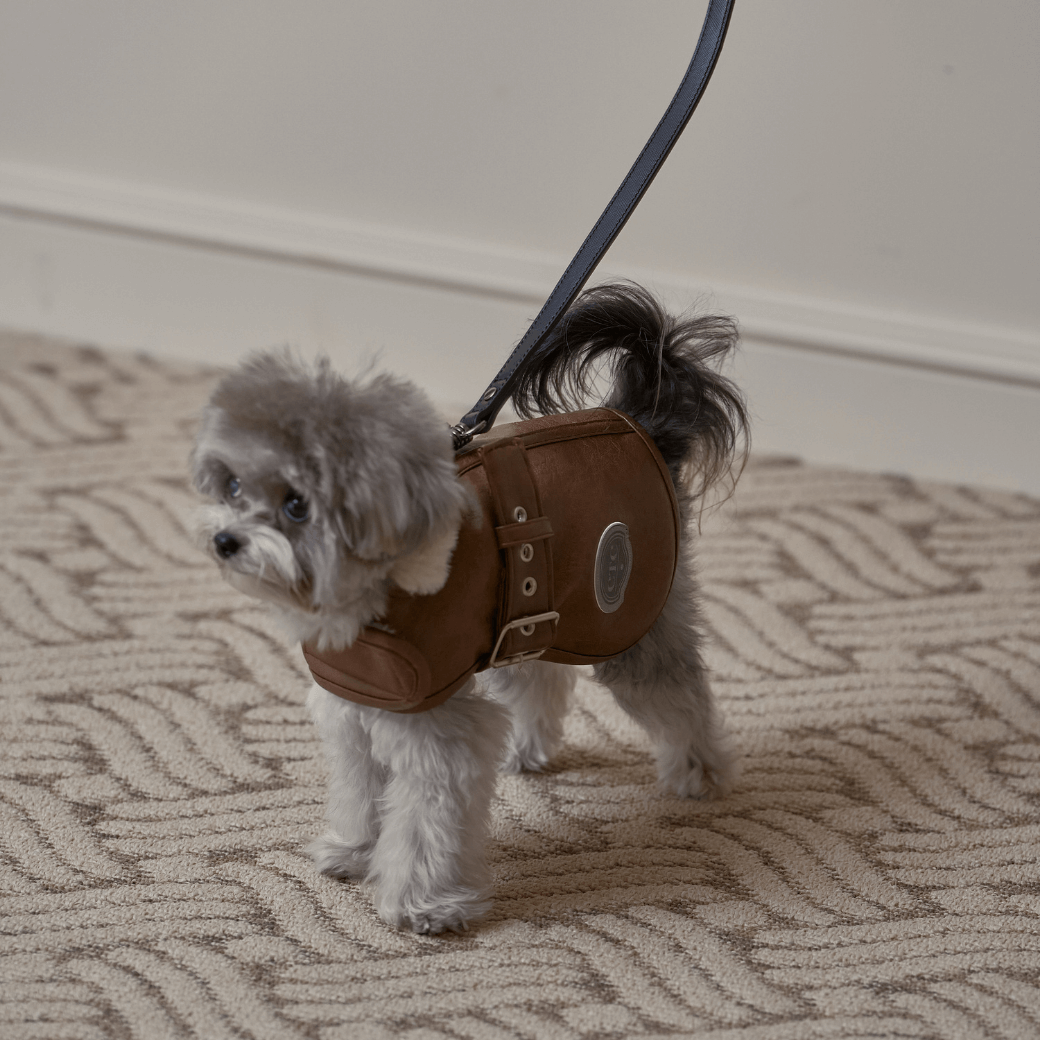 Noel Belted Mustang (3color)