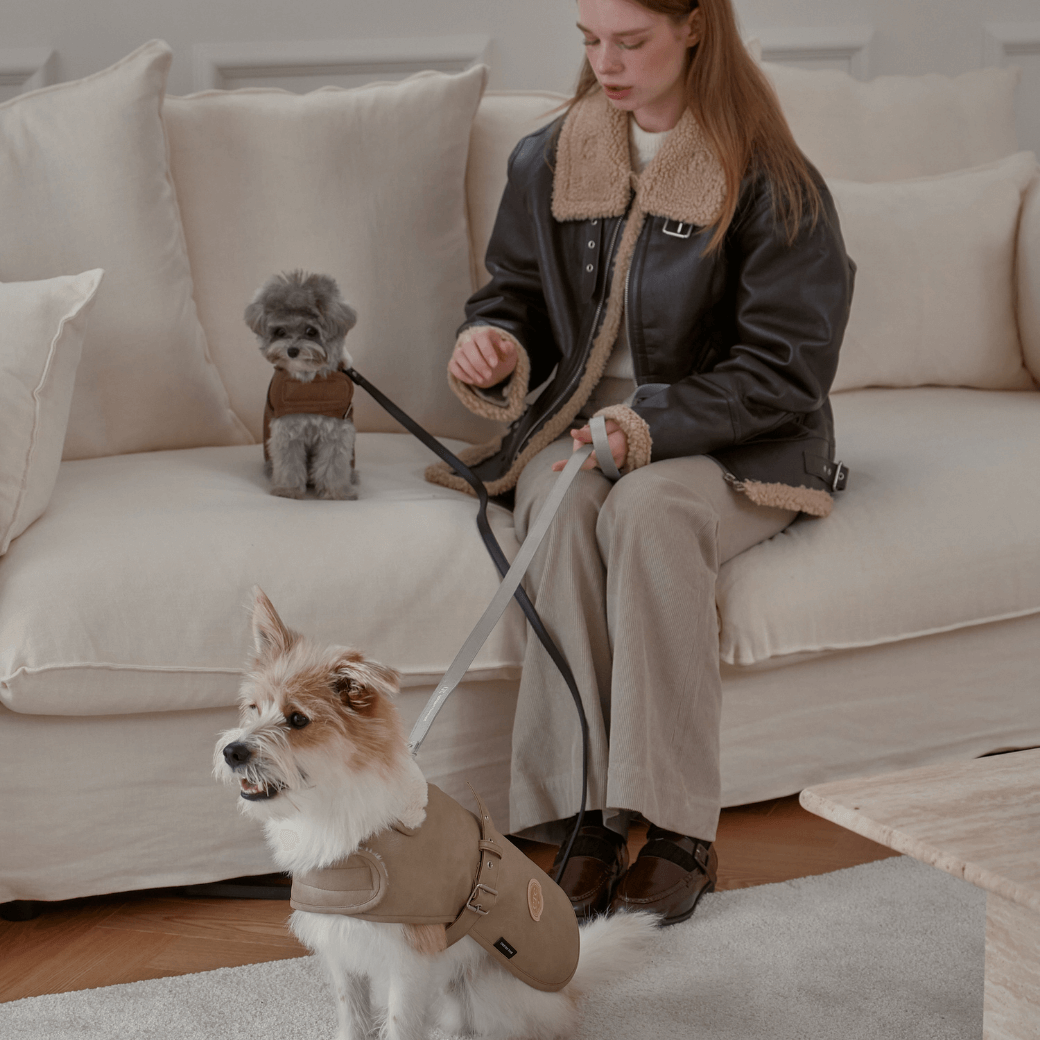 Noel Belted Mustang (3color)