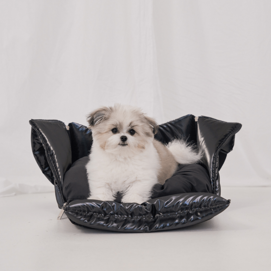 【予約】open bag - glossy black（APERTY）