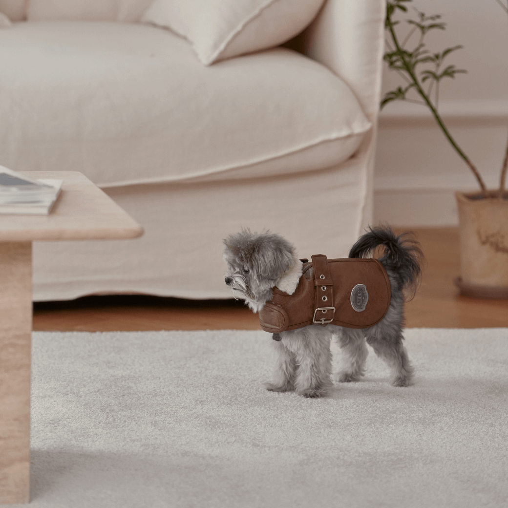 Noel Belted Mustang (3color)