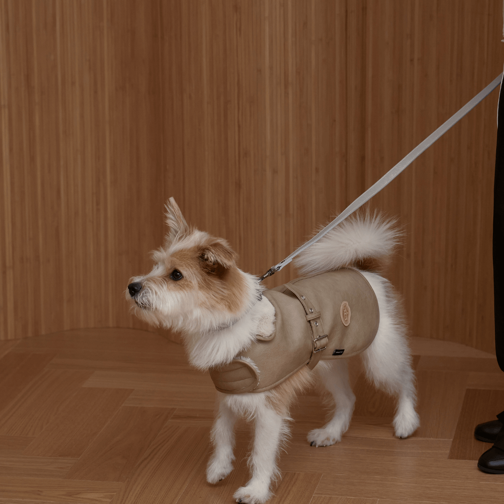 Noel Belted Mustang (3color)