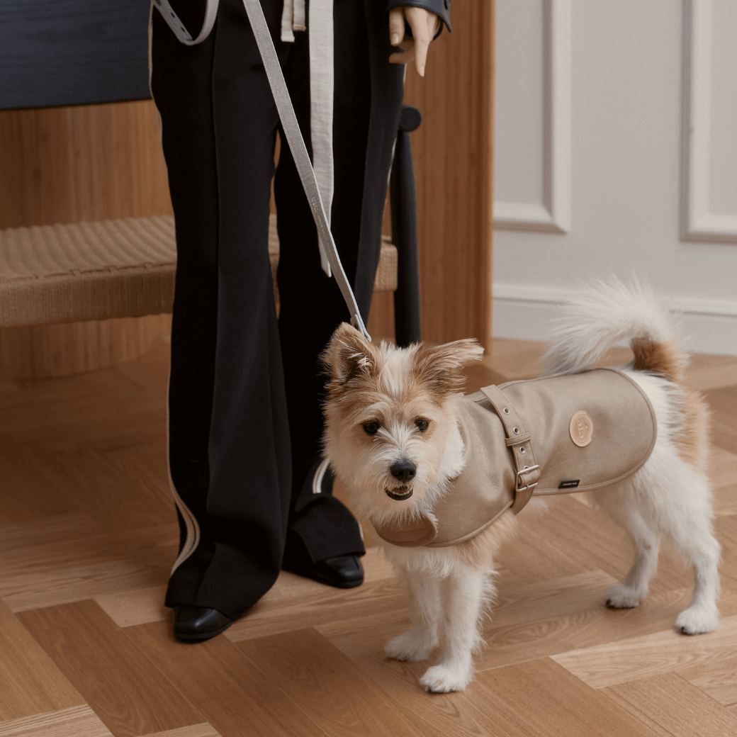 Noel Belted Mustang (3color)