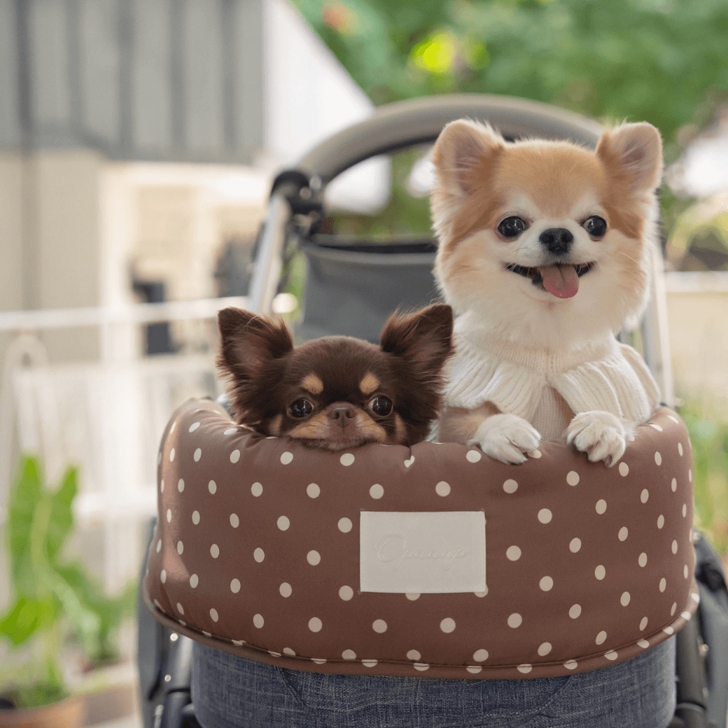 【予約】Fluffy Buggy Puff (Mocha Dot)