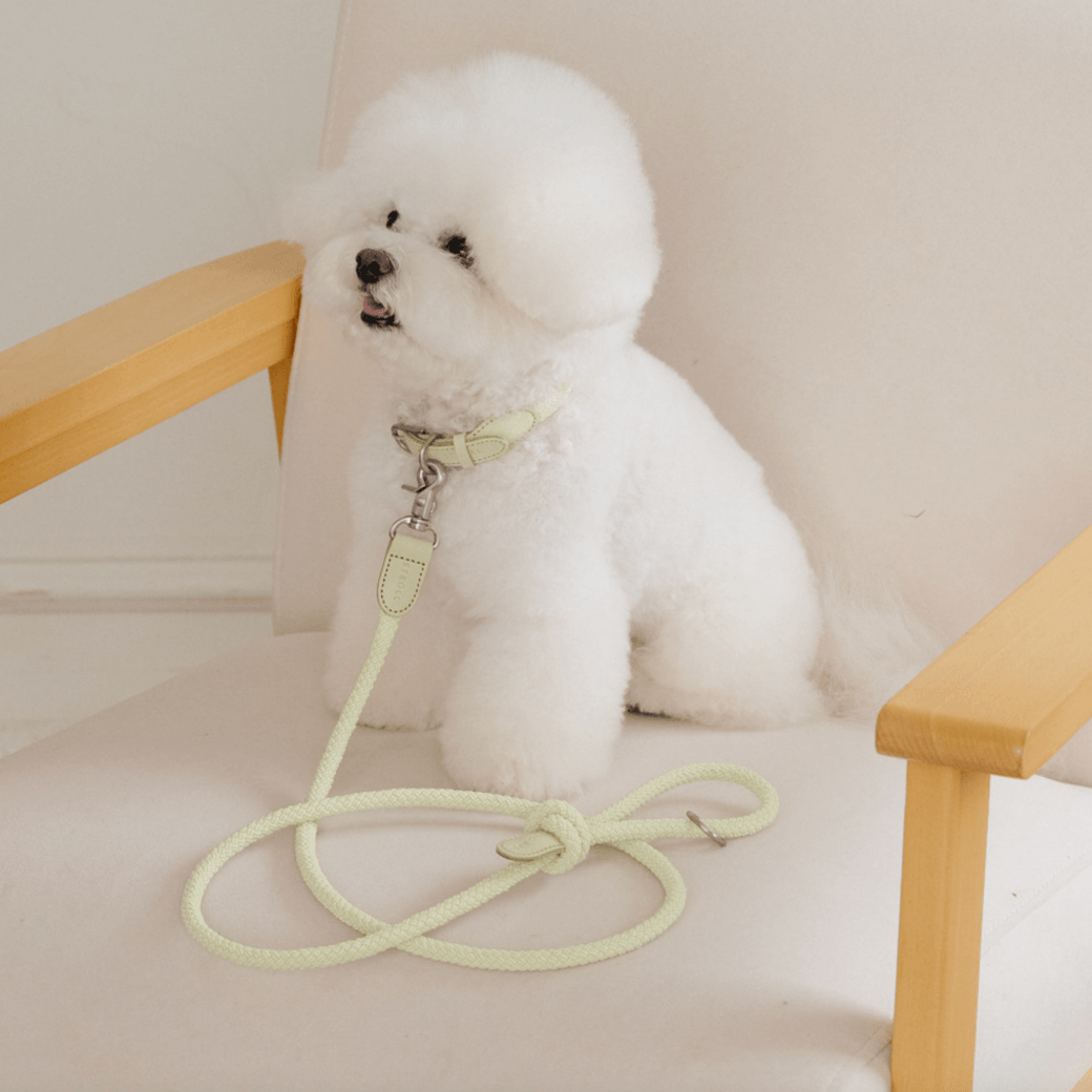 Rope Leash (Pistachio)