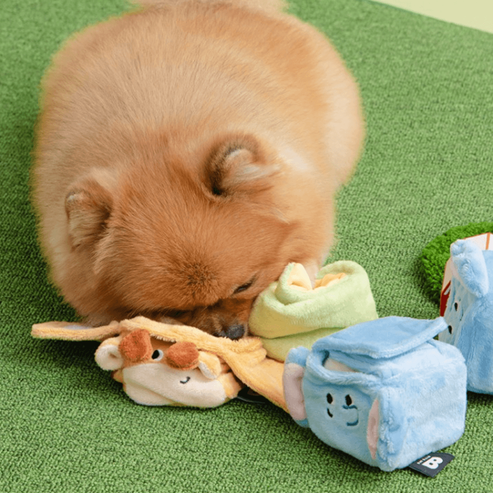スクエアポケットノーズワークトイ