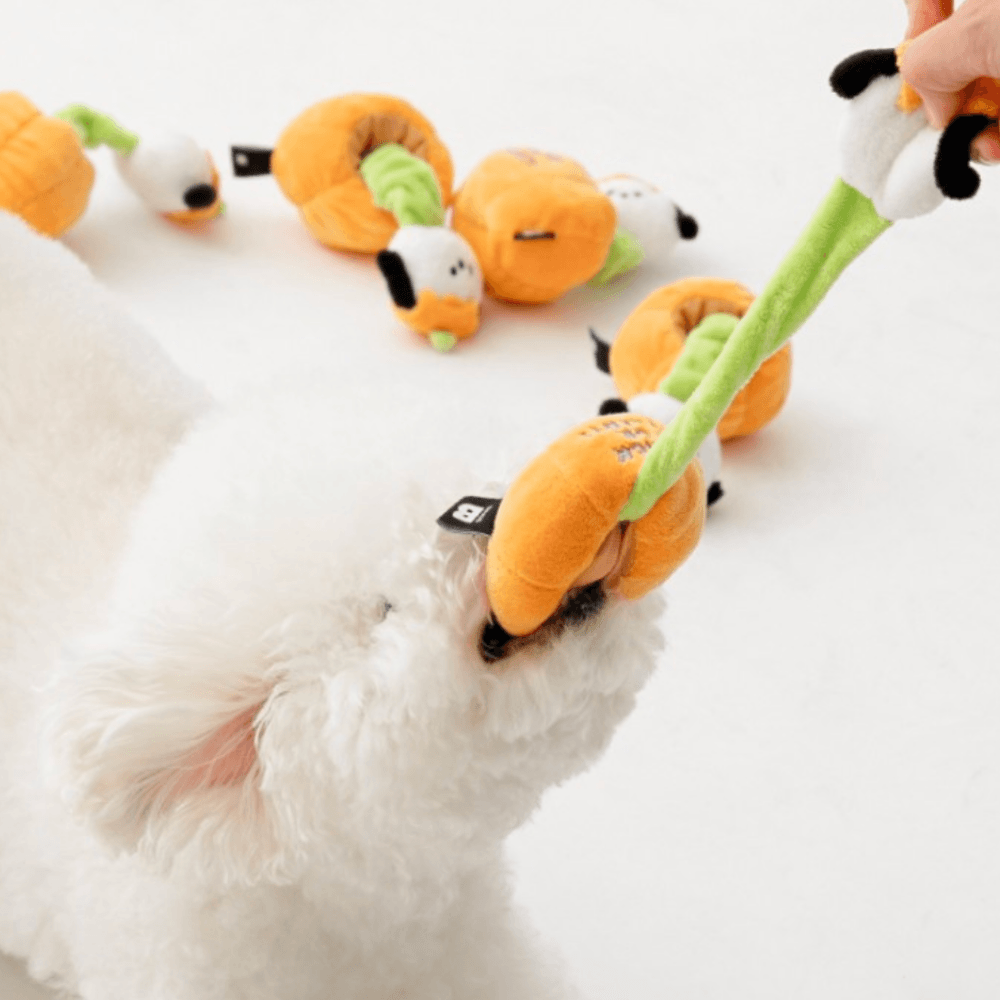 パンプキンパピーストレッチトイ bite me 犬用おもちゃ