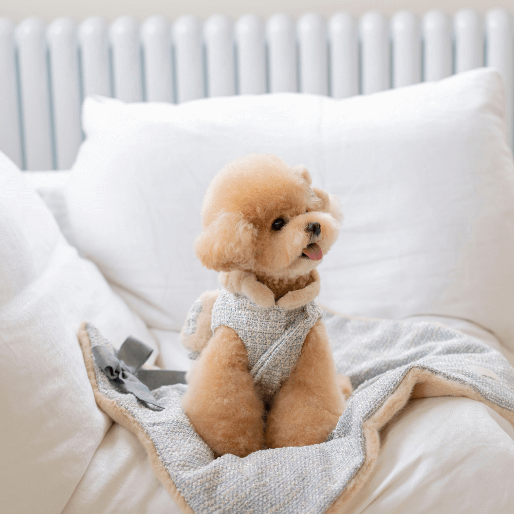 Coco Fur Tweed Blanket (2color)