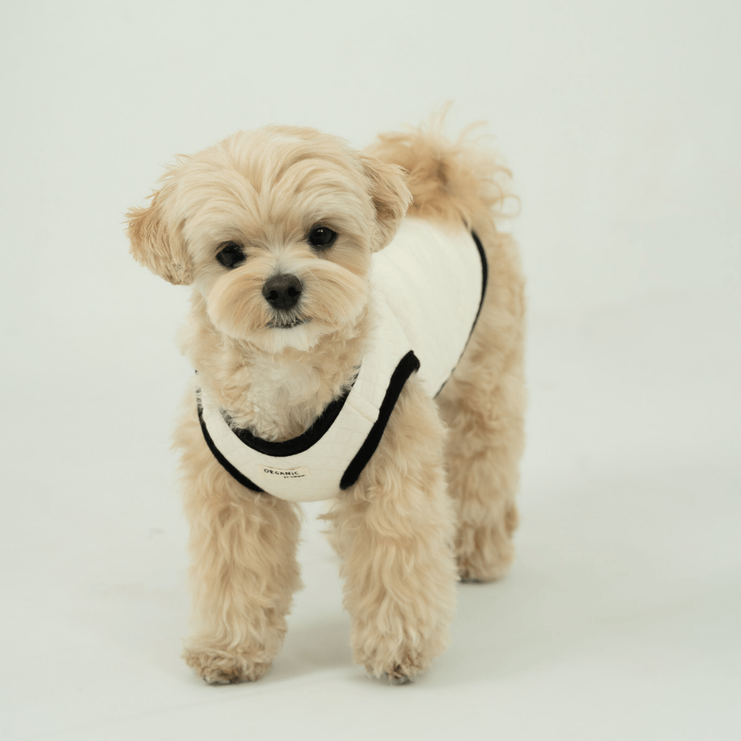 【予約】ORGANIC QUILTED VEST – OWWW x VERVVE edition（ネーム刺繍可）