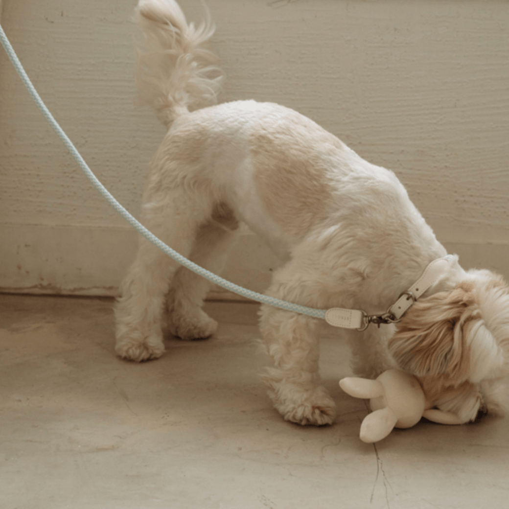 Rope Leash (Soda)